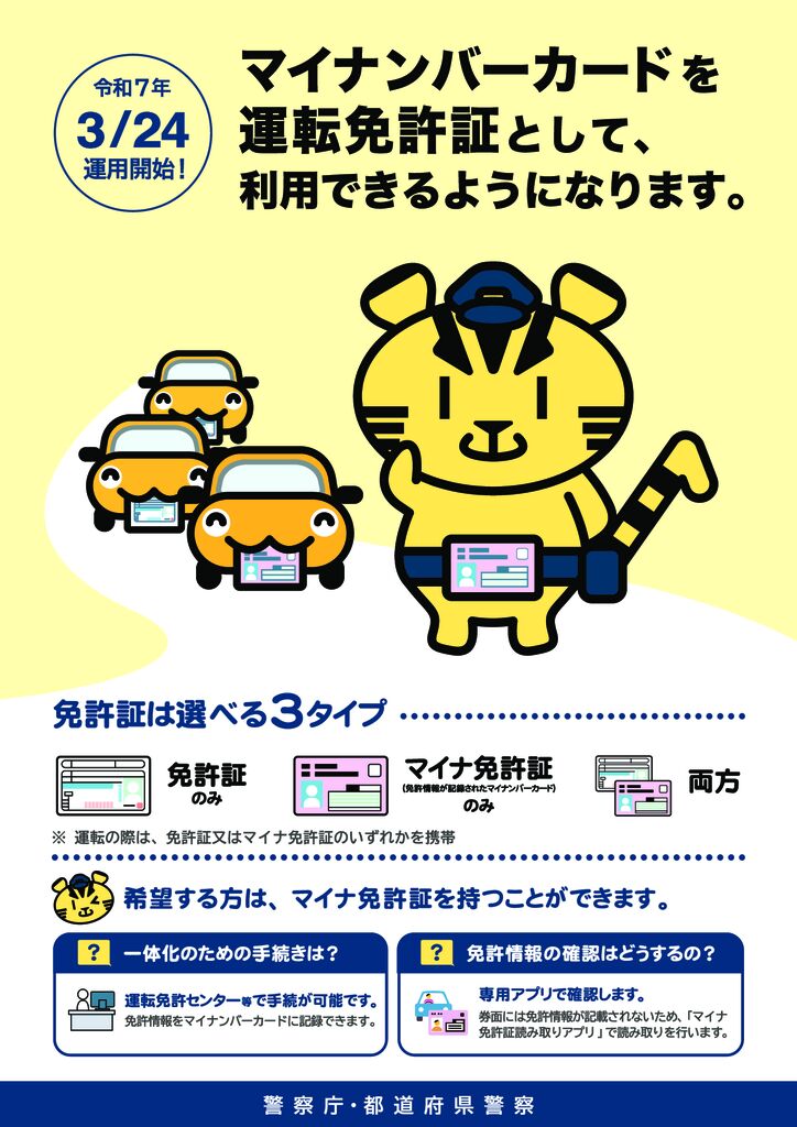 P2マイナ免許1のサムネイル